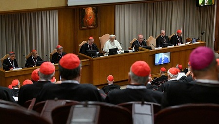 Vertrauliche Vorlagen des Kardinalstreffens in Rom veröffentlicht