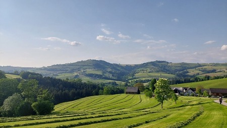 Wiesen im Mostviertel / NÖ