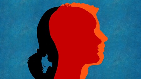 Wiener Theologe widerspricht kirchlicher Genderkritik