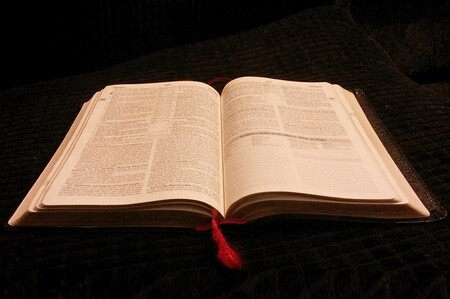 Wien: Bibel-Pfad macht Heilige Schrift 'mit allen Sinnen' erlebbar